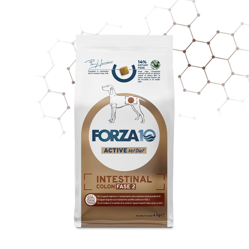 Forza10 Active Vet Diet Dog Adult Intestinal Colon fase 2 10 kg