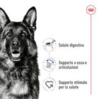 Royal Canin Dog Maxi Adult 4 kg