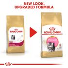Royal Canin Cat Kitten Persian 400 gr