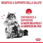 Royal Canin Cat Adult Hair&Skin in Salsa 85gr