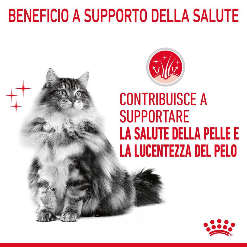Royal Canin Cat Adult Hair&Skin in Salsa 85gr