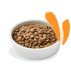 Edgard & Cooper Cat Adult al Pollo 2 kg