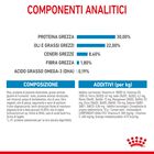 Royal Canin Maxi Starter Mother&Babydog 4 Kg