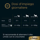 Cesar Dog Delizie del Giorno Multipack Pollo e Verdure e Manzo e Carote in Salsa 4x100 gr