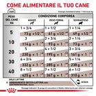 Royal Canin Veterinary Diet Dog Adult Gastrointestinal 200 gr