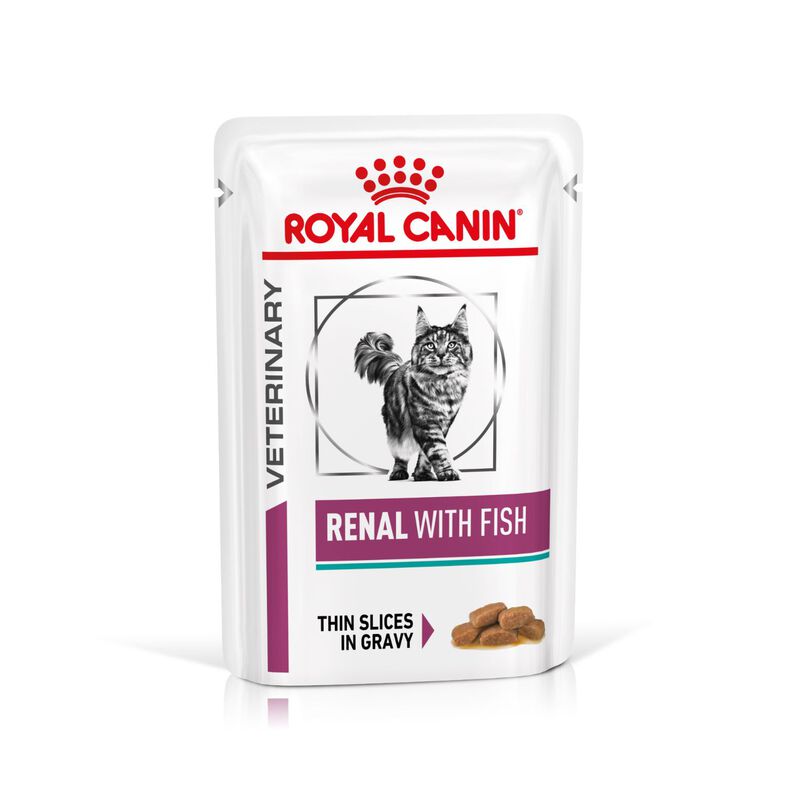 Royal Canin Veterinary Diet Cat Renal con Pesce 85 gr x 12 pz