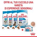 Royal Canin Dog Adult e Puppy Starter 195 gr