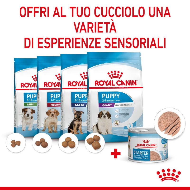 Royal Canin Dog Adult e Puppy Starter 195 gr