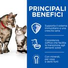 Hill's Science Plan Kitten&Mother Tender Mousse Pollo e Tacchino 85gr