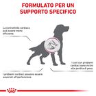Royal Canin Veterinary Diet Dog Cardiac 2 kg