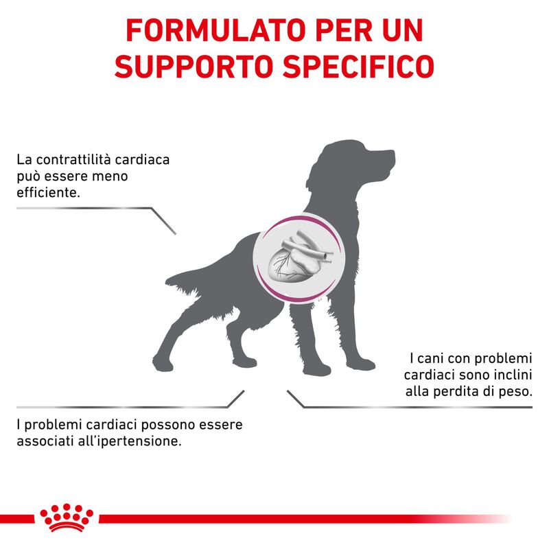 Royal Canin Veterinary Diet Dog Cardiac 2 kg