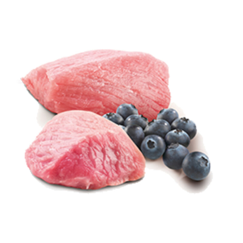 Farmina N&D Prime Cat Adult Agnello e Mirtillo 70 gr
