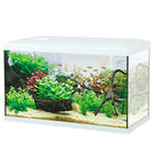 Aqualovers Acquario Ocean 60 colore Bianco