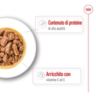 Royal Canin Dog Medium Adult 140 gr