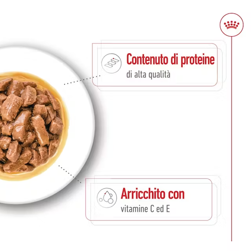 Royal Canin Dog Medium Adult 140 gr