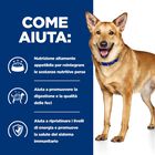 Hill's Prescription Diet Dog i/d Spezzatino con Pollo e Verdure 354 gr