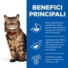 Hill's Science Plan Cat Adult Sensitive Stomach & Skin al Pollo 300 gr