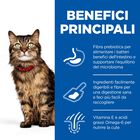 Hill's Science Plan Cat Adult Sensitive Stomach & Skin al Pollo 300 gr