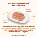 Almo Nature HFC Cat Jelly Tonno con Cernia 70g