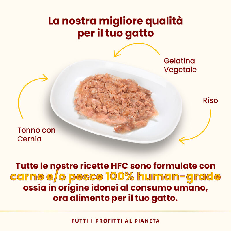 Almo Nature HFC Cat Jelly Tonno con Cernia 70g