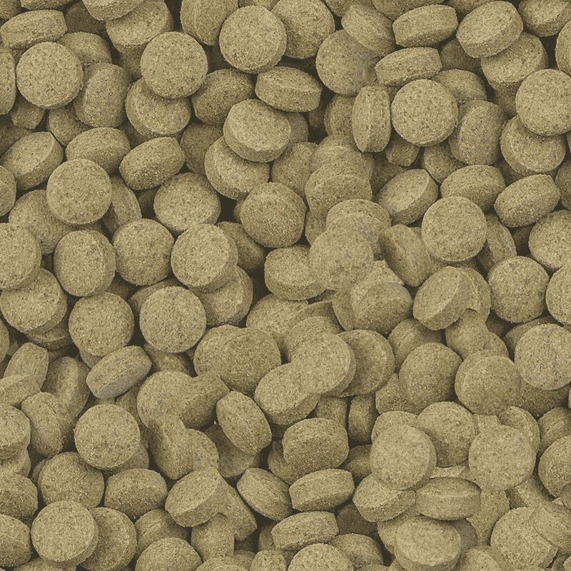 Sera Viformo Pleco Tabs 250 ml