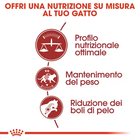 Royal Canin Cat Adult Fit 32 400 gr