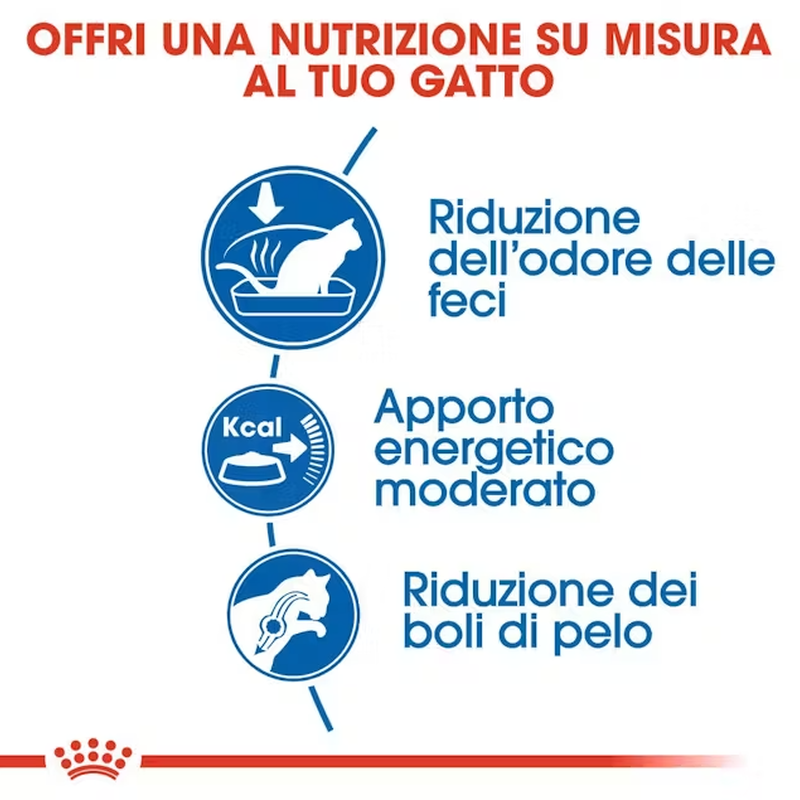 Royal Canin Cat Adult Indoor 27 4 kg