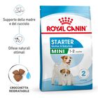 Royal Canin Dog Puppy X-Small 1,5 kg
