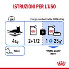 Royal Canin Cat Adult Indoor Gravy 85gr
