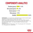 Royal Canin Cat Adult Sensory Smell Jelly 85 gr Royal Canin Cat Adult Sensory Smell Jelly 85 gr