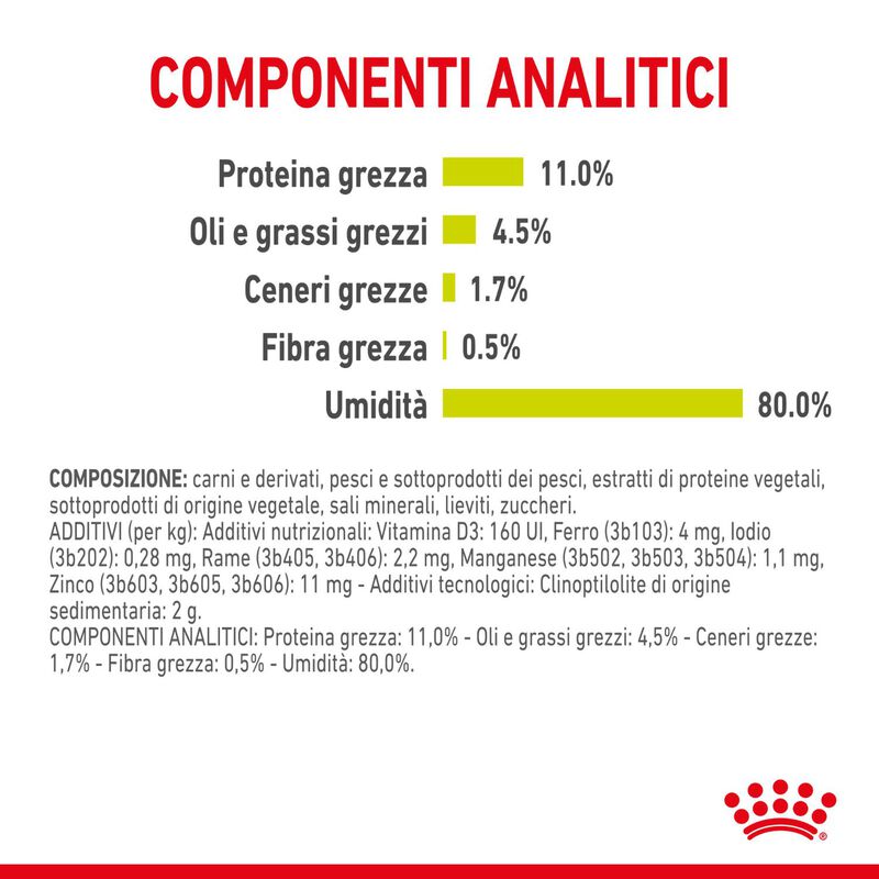 Royal Canin Cat Adult Sensory Smell Jelly 85 gr Royal Canin Cat Adult Sensory Smell Jelly 85 gr