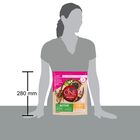 Purina One Dog Mini Active con Pollo e Riso 800 gr
