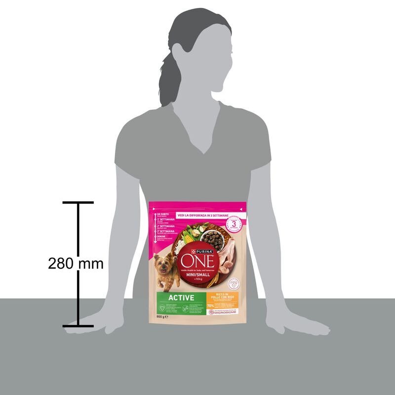 Purina One Dog Mini Active con Pollo e Riso 800 gr