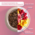 Monopro Dog Adult Mini Grain free Maiale 800 gr