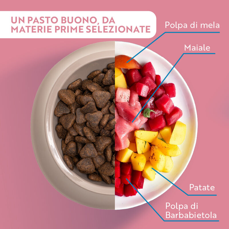 Monopro Dog Adult Mini Grain free Maiale 800 gr