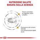 Royal Canin Veterinary Diet Cat Urinary S/O 3,5 kg