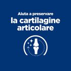 Hill's Prescription Diet Dog j/d Joint Care Mobility con Pollo 12 kg