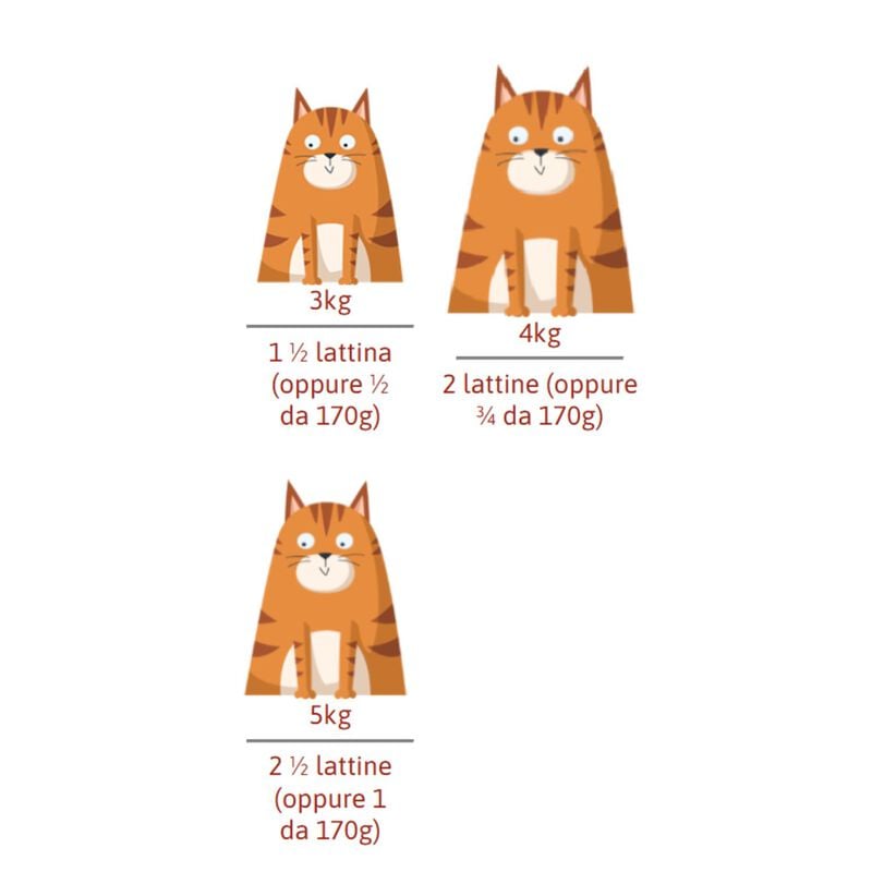 Petreet Cat Tortino Tonno con riso e surimi aroma granchio 2 x 170 gr