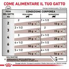 Royal Canin Veterinary Diet Cat Gastrointestinal Moderate Calorie 12x85 gr