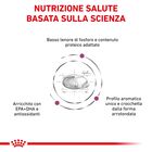 Royal Canin Veterinary Diet Cat Renal 400 gr
