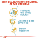 Royal Canin Dog Puppy Labrador Retriver 12 kg