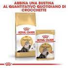Royal Canin Cat Adult Persian 2 kg
