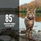 Orijen Gatto Adulto Six Fish 340 gr