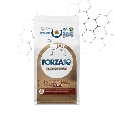Forza10 Dog Active Intestinal Colon Fase 2  4 kg