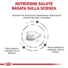 Royal Canin Veterinary Diet Cat Calm 2 kg