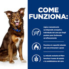 Hill's Prescription Diet Dog Metabolic spezzatino con Manzo 354gr