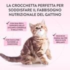 Schesir Born Carnivore Kitten Pollo con Uovo 1,25 kg