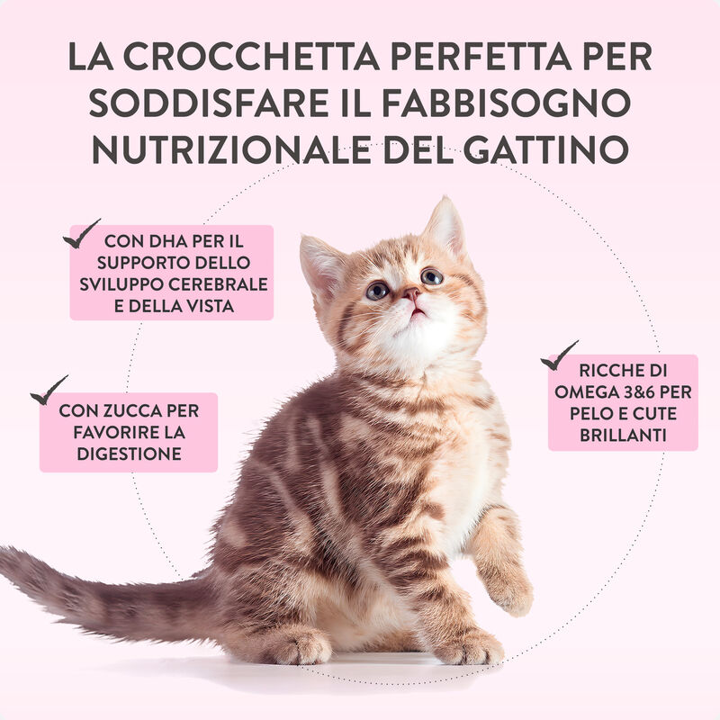 Schesir Born Carnivore Kitten Pollo con Uovo 1,25 kg