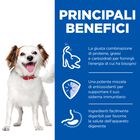 Hill's Science Plan Dog Adult Small & Mini Mousse Manzo 200 gr