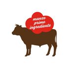 Stuzzy Dog Monoprotein Manzo 100 gr